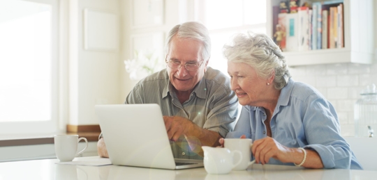 Elderly couple looking at the computer