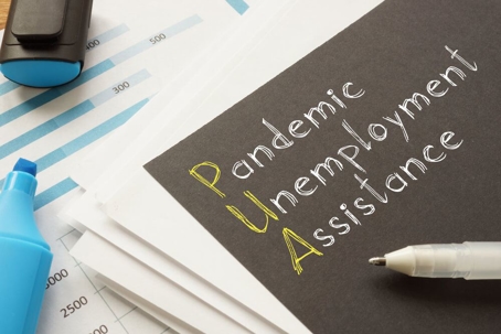 Pandemic Unemployment Assistance
